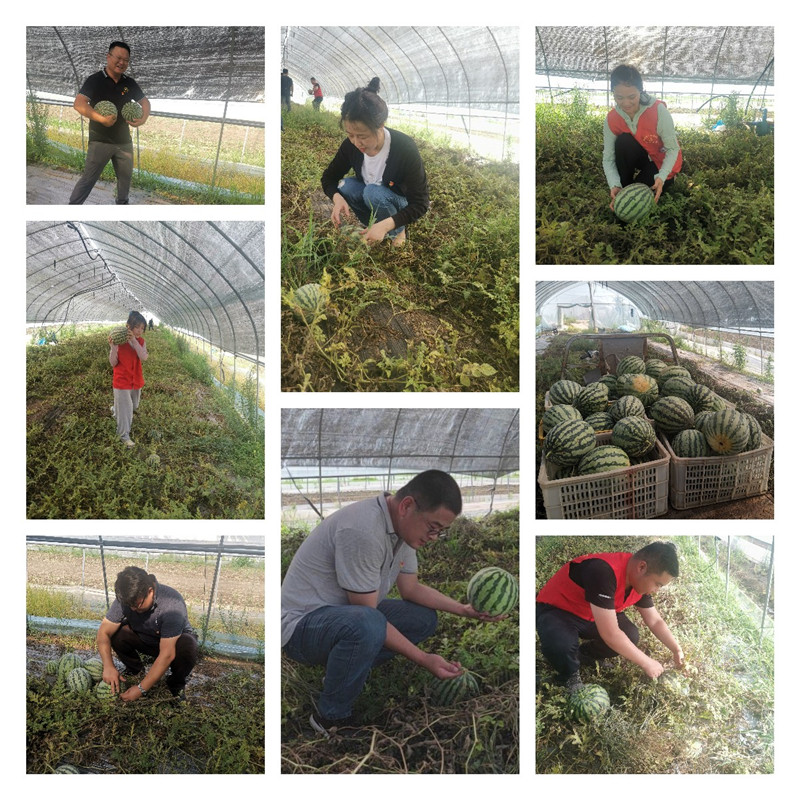 171432-824450.jpg 黨日活動2.jpg