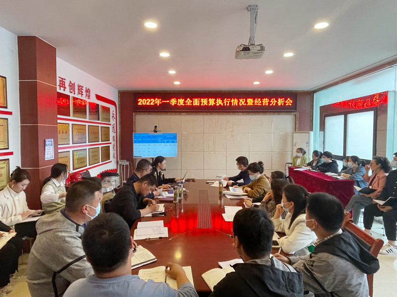蚌埠建材召開2022年一季度預算執(zhí)行情況暨經營分析會議照片副件.jpg