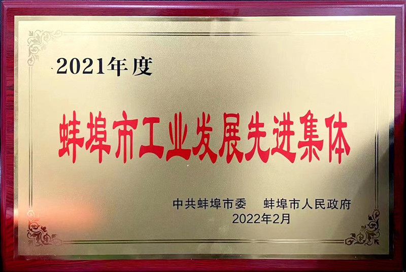 蚌埠市工業(yè)發(fā)展先進(jìn)集體照片_副本.jpg